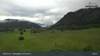 Archiv Foto Webcam Moorgebiet Schwemm am Walchsee 08:00