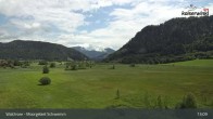 Archiv Foto Webcam Moorgebiet Schwemm am Walchsee 12:00