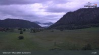 Archiv Foto Webcam Moorgebiet Schwemm am Walchsee 20:00