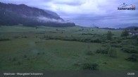 Archiv Foto Webcam Moorgebiet Schwemm am Walchsee 04:00