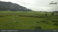 Archiv Foto Webcam Moorgebiet Schwemm am Walchsee 06:00