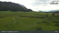 Archiv Foto Webcam Moorgebiet Schwemm am Walchsee 12:00