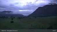 Archiv Foto Webcam Moorgebiet Schwemm am Walchsee 04:00