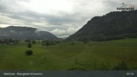 Archiv Foto Webcam Moorgebiet Schwemm am Walchsee 06:00