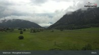 Archiv Foto Webcam Moorgebiet Schwemm am Walchsee 08:00