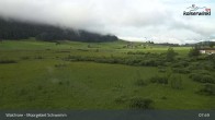 Archiv Foto Webcam Moorgebiet Schwemm am Walchsee 07:00