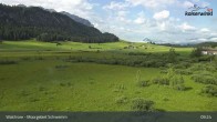 Archiv Foto Webcam Moorgebiet Schwemm am Walchsee 08:00
