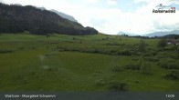 Archiv Foto Webcam Moorgebiet Schwemm am Walchsee 12:00