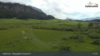 Archiv Foto Webcam Moorgebiet Schwemm am Walchsee 16:00
