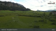 Archiv Foto Webcam Moorgebiet Schwemm am Walchsee 18:00