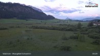 Archiv Foto Webcam Moorgebiet Schwemm am Walchsee 04:00