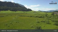 Archiv Foto Webcam Moorgebiet Schwemm am Walchsee 10:00
