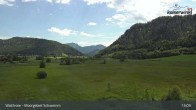 Archiv Foto Webcam Moorgebiet Schwemm am Walchsee 12:00