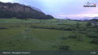 Archiv Foto Webcam Moorgebiet Schwemm am Walchsee 02:00