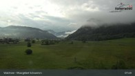 Archiv Foto Webcam Moorgebiet Schwemm am Walchsee 07:00