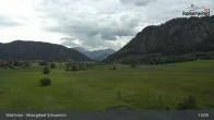 Archiv Foto Webcam Moorgebiet Schwemm am Walchsee 12:00