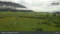 Archiv Foto Webcam Moorgebiet Schwemm am Walchsee 06:00