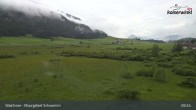 Archiv Foto Webcam Moorgebiet Schwemm am Walchsee 08:00