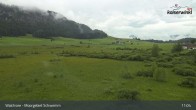 Archiv Foto Webcam Moorgebiet Schwemm am Walchsee 10:00