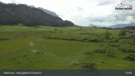 Archiv Foto Webcam Moorgebiet Schwemm am Walchsee 12:00