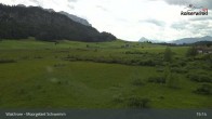 Archiv Foto Webcam Moorgebiet Schwemm am Walchsee 14:00