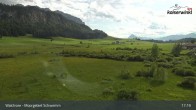 Archiv Foto Webcam Moorgebiet Schwemm am Walchsee 16:00
