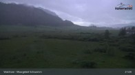 Archiv Foto Webcam Moorgebiet Schwemm am Walchsee 00:00