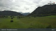 Archiv Foto Webcam Moorgebiet Schwemm am Walchsee 08:00