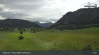 Archiv Foto Webcam Moorgebiet Schwemm am Walchsee 10:00