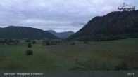 Archiv Foto Webcam Moorgebiet Schwemm am Walchsee 04:00