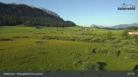 Archiv Foto Webcam Moorgebiet Schwemm am Walchsee 06:00
