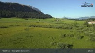 Archiv Foto Webcam Moorgebiet Schwemm am Walchsee 07:00