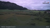 Archiv Foto Webcam Moorgebiet Schwemm am Walchsee 04:00