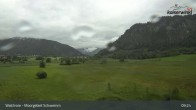 Archiv Foto Webcam Moorgebiet Schwemm am Walchsee 08:00