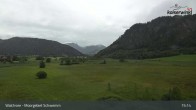 Archiv Foto Webcam Moorgebiet Schwemm am Walchsee 14:00