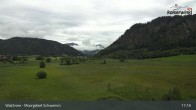 Archiv Foto Webcam Moorgebiet Schwemm am Walchsee 16:00