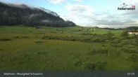 Archiv Foto Webcam Moorgebiet Schwemm am Walchsee 06:00