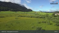 Archiv Foto Webcam Moorgebiet Schwemm am Walchsee 08:00