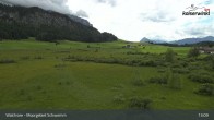 Archiv Foto Webcam Moorgebiet Schwemm am Walchsee 12:00