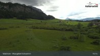 Archiv Foto Webcam Moorgebiet Schwemm am Walchsee 14:00