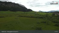 Archiv Foto Webcam Moorgebiet Schwemm am Walchsee 16:00