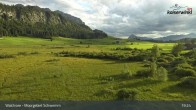 Archiv Foto Webcam Moorgebiet Schwemm am Walchsee 18:00