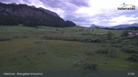 Archiv Foto Webcam Moorgebiet Schwemm am Walchsee 02:00