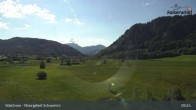 Archiv Foto Webcam Moorgebiet Schwemm am Walchsee 08:00