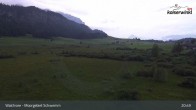 Archiv Foto Webcam Moorgebiet Schwemm am Walchsee 00:00