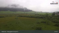 Archiv Foto Webcam Moorgebiet Schwemm am Walchsee 07:00