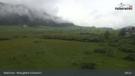 Archiv Foto Webcam Moorgebiet Schwemm am Walchsee 08:00