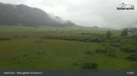 Archiv Foto Webcam Moorgebiet Schwemm am Walchsee 12:00