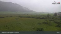 Archiv Foto Webcam Moorgebiet Schwemm am Walchsee 16:00