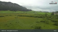 Archiv Foto Webcam Moorgebiet Schwemm am Walchsee 18:00